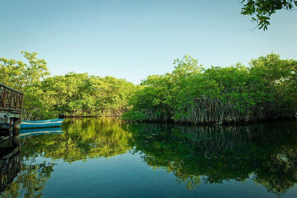 Bel Air Collection Resort & Spa Riviera Maya Xpu Ha Dış mekan fotoğraf